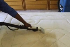 upholstery-cleaning